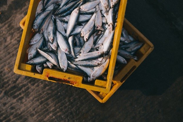 How Safe Is It To Eat Farmed&nbsp;Fish?