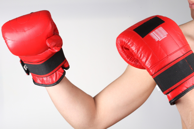 0002482010kk-849x565