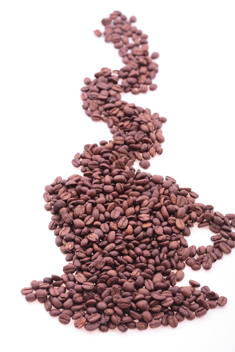 0004430423Q-1280x1920