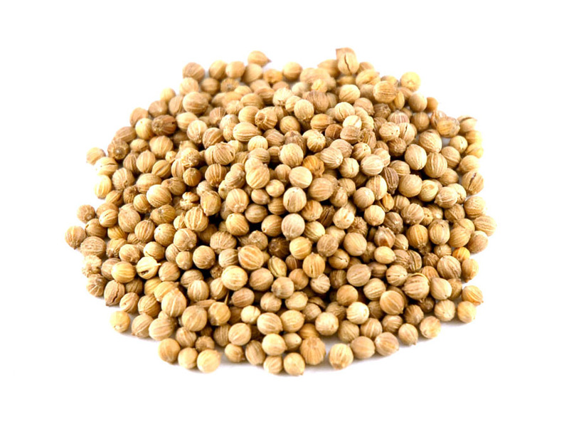 Also widely used in Indian cooking, coriander eases digestive comfort.