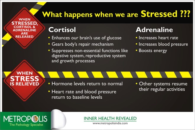 The human body is wired to react to stress in a particular manner which helps you prepare for a situation. Imagine a close encounter with a speeding car; this is when you encounter a perceived threat.