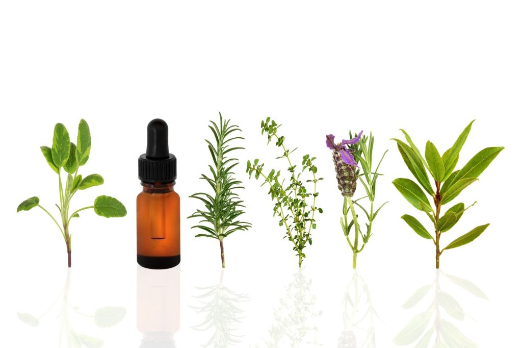 Should You Consider Essential Oils for Weight&nbsp;Loss?