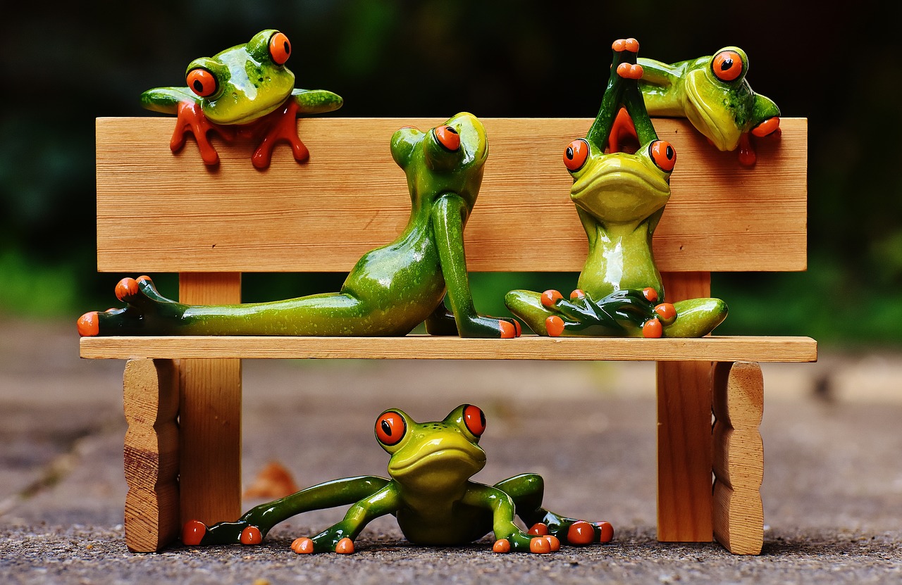 frogs-1644949_1280