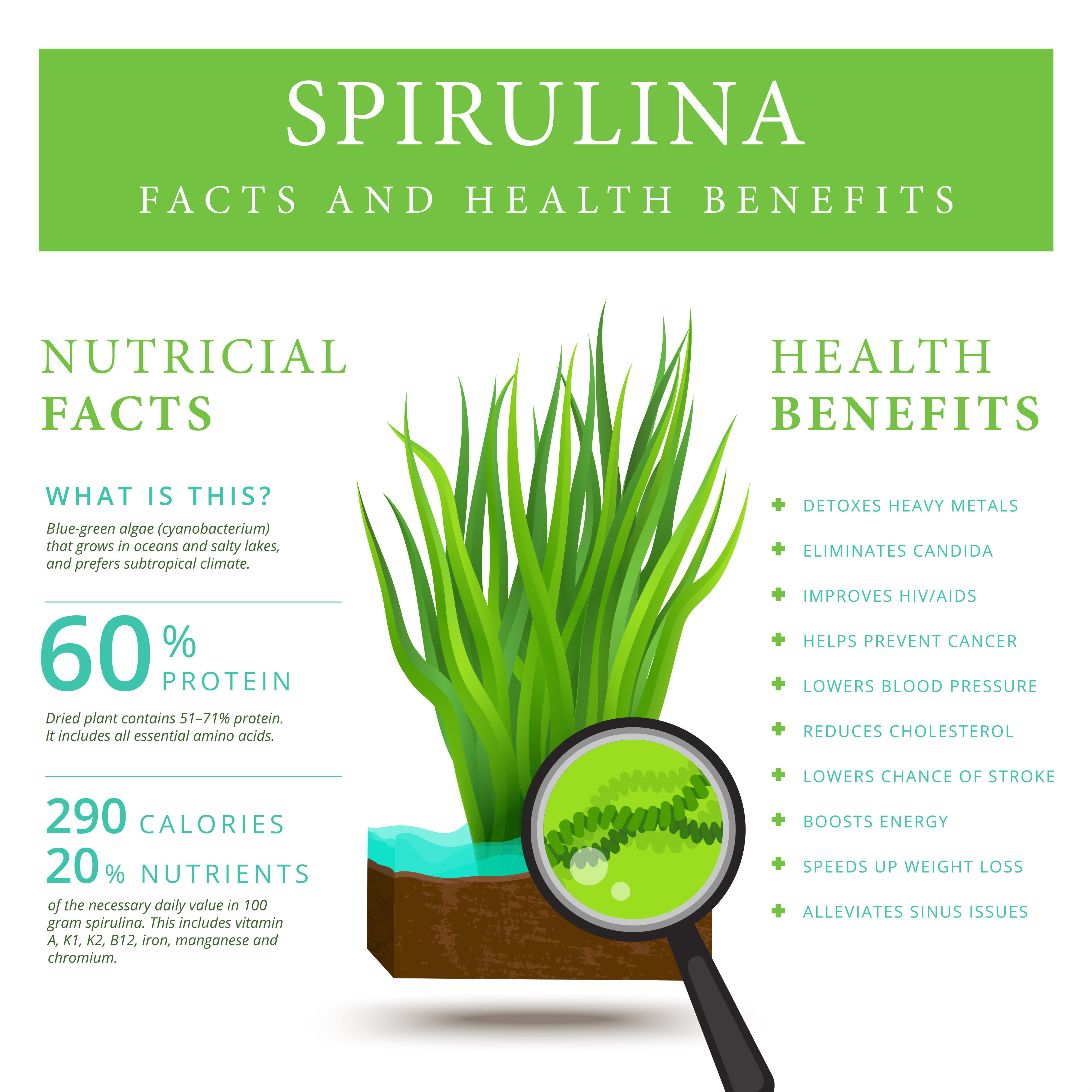 shutterstock_501082114