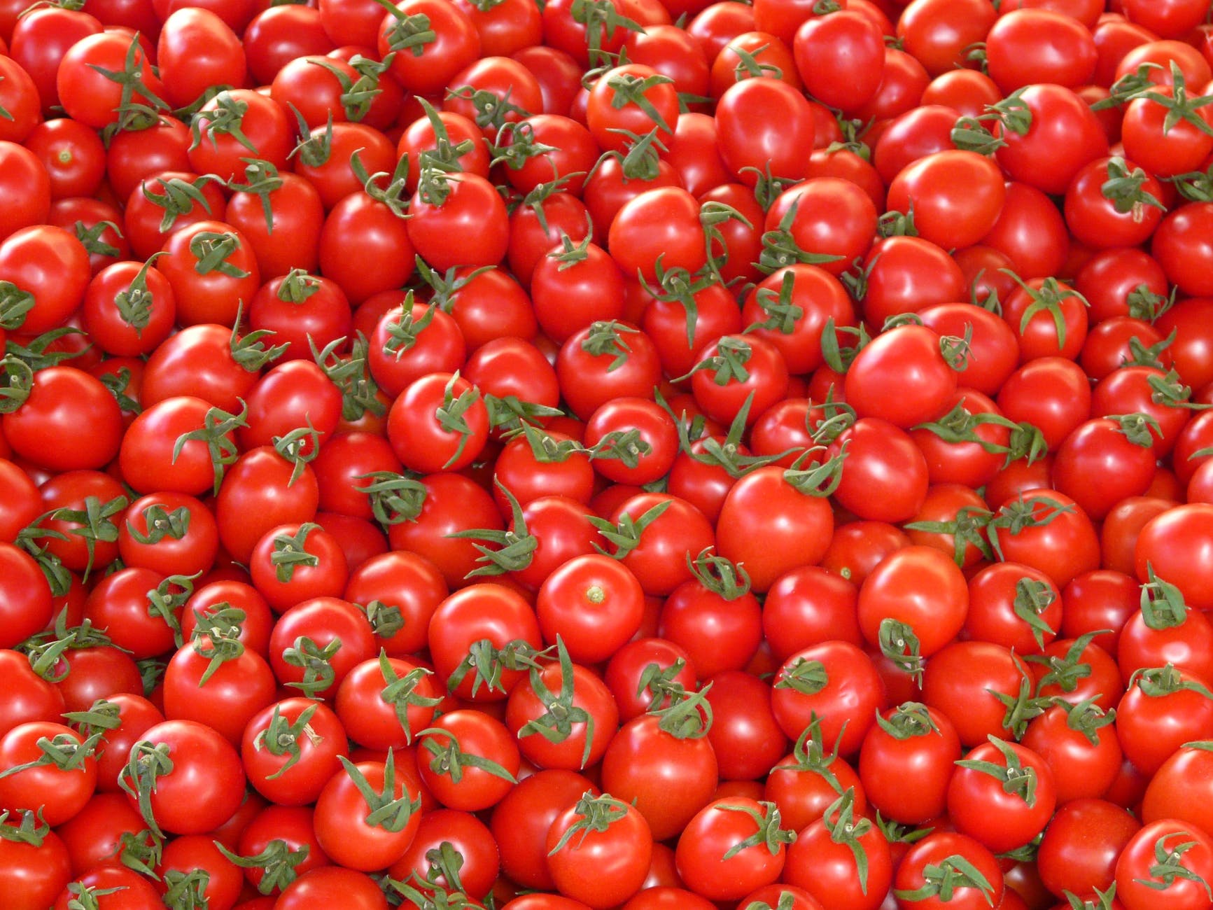 tomatoes-vegetables-red-delicious-68133.jpeg