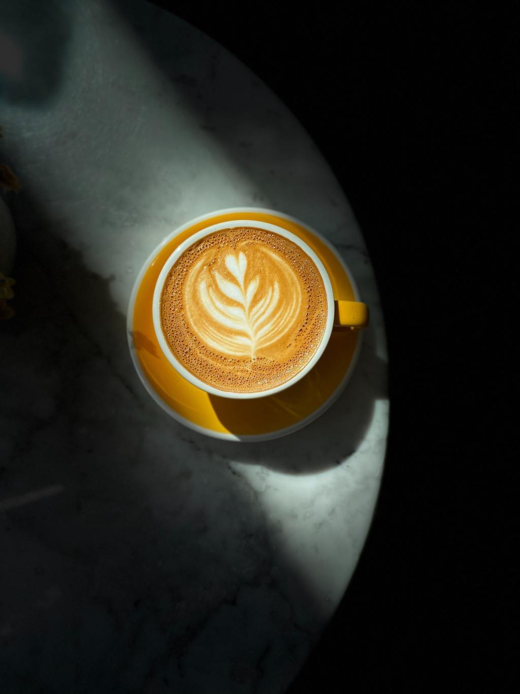 5 Expensive Coffee Brands that’s Worth Every&nbsp;Penny